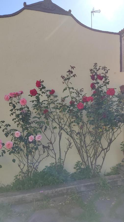 Casa Mo Daire Sabadell Dış mekan fotoğraf